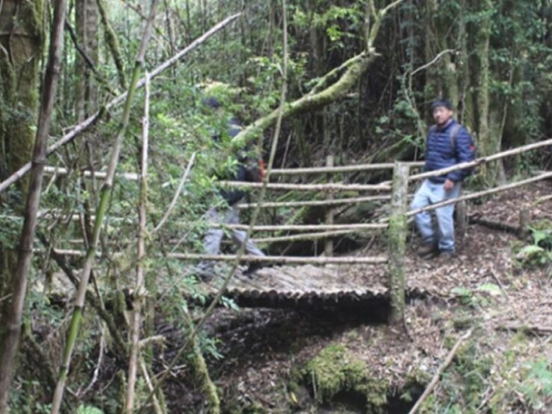 “Turismo Trawunco” de Comunidad Indígena Rufino Cayulef de Villarrica